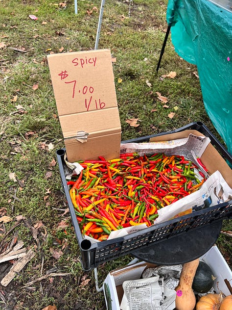 Southeast Asian Market in FDR park