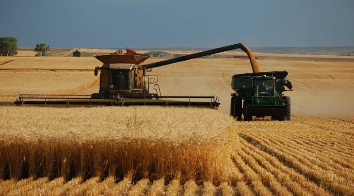 Bread riots down supply chains: From Cairo to Longview