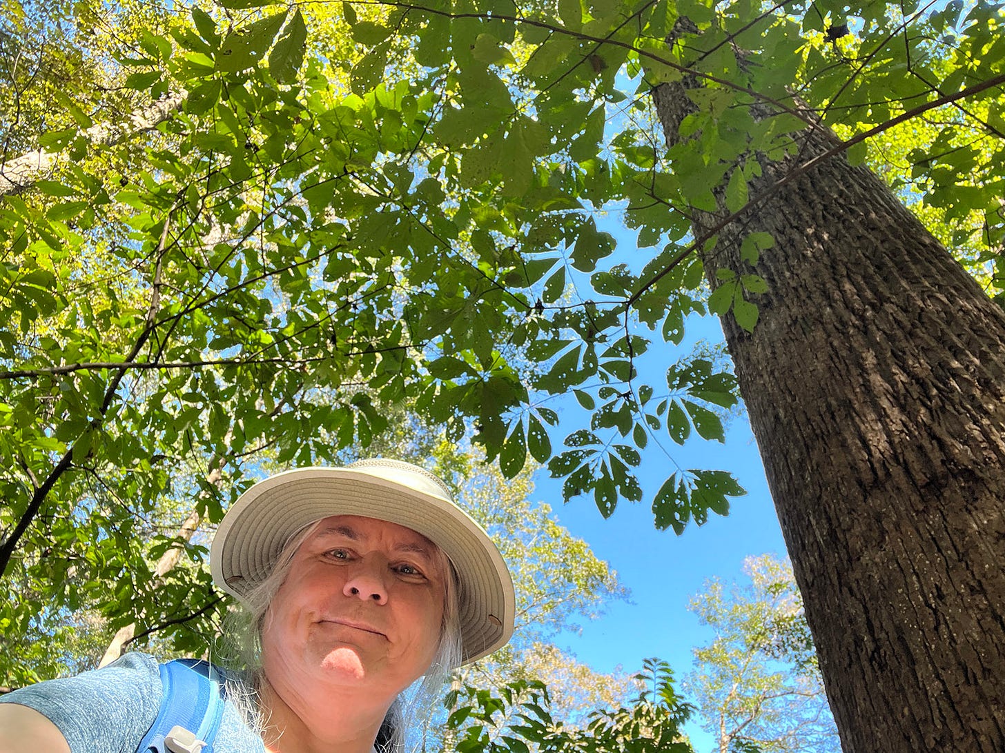 Woman looking down at camera with tall trees above