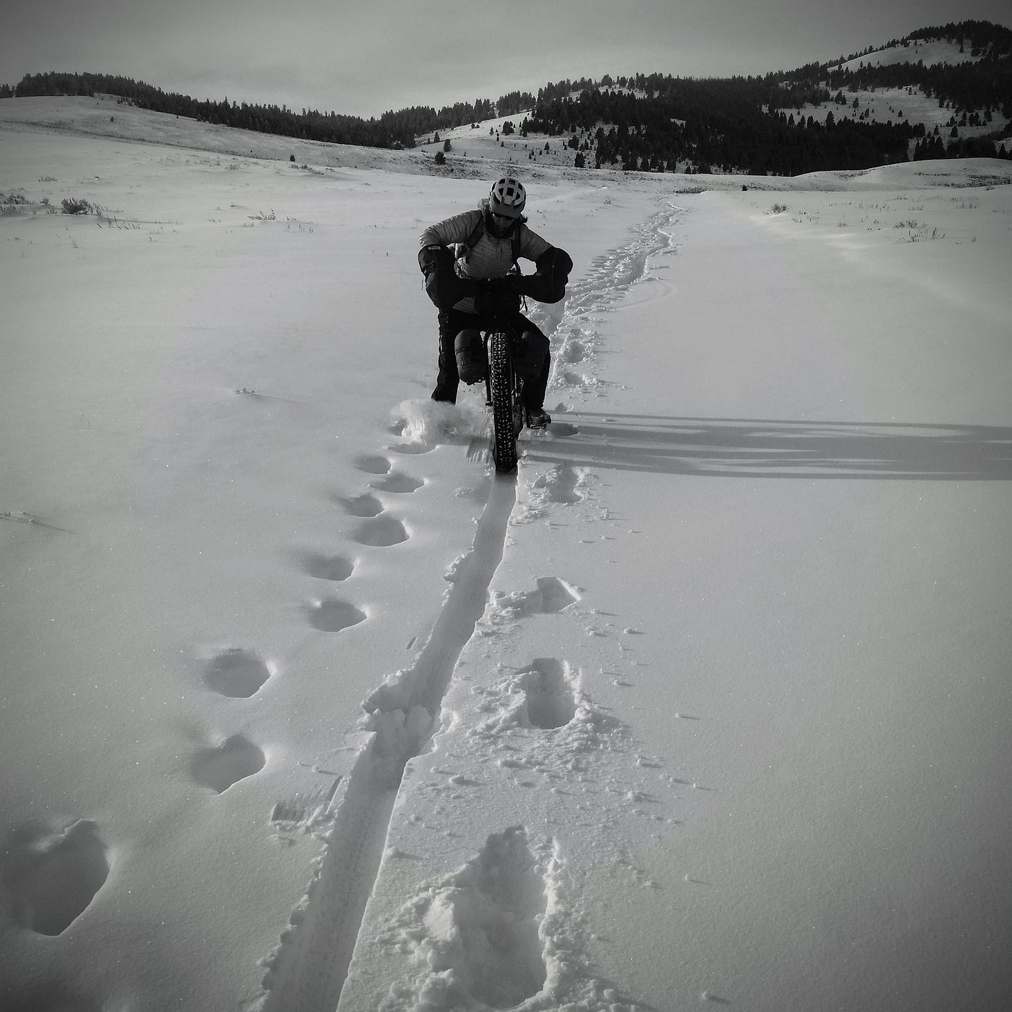 2017 @ Horse Prairie Station