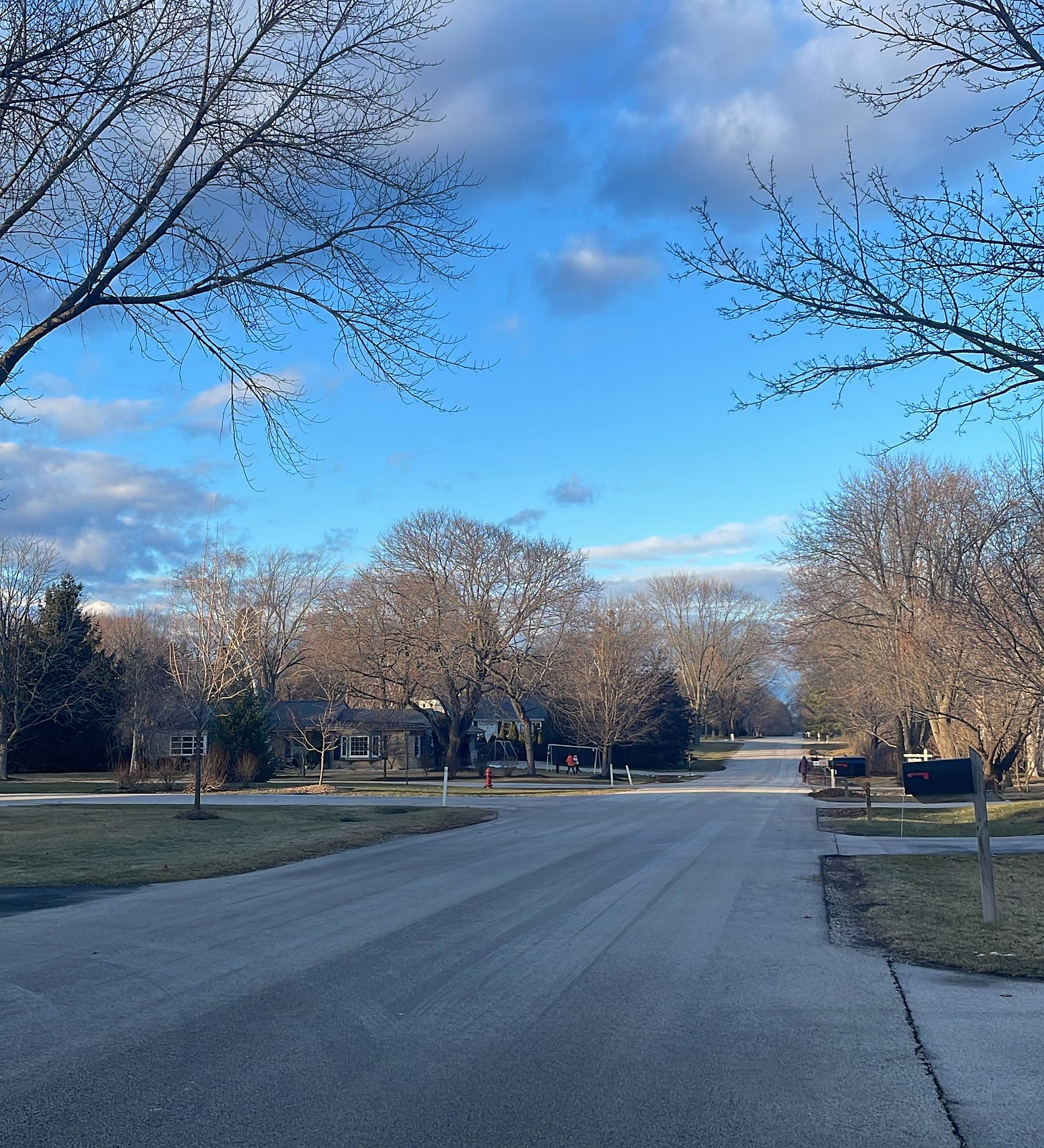 a very cold walk down a midwestern street