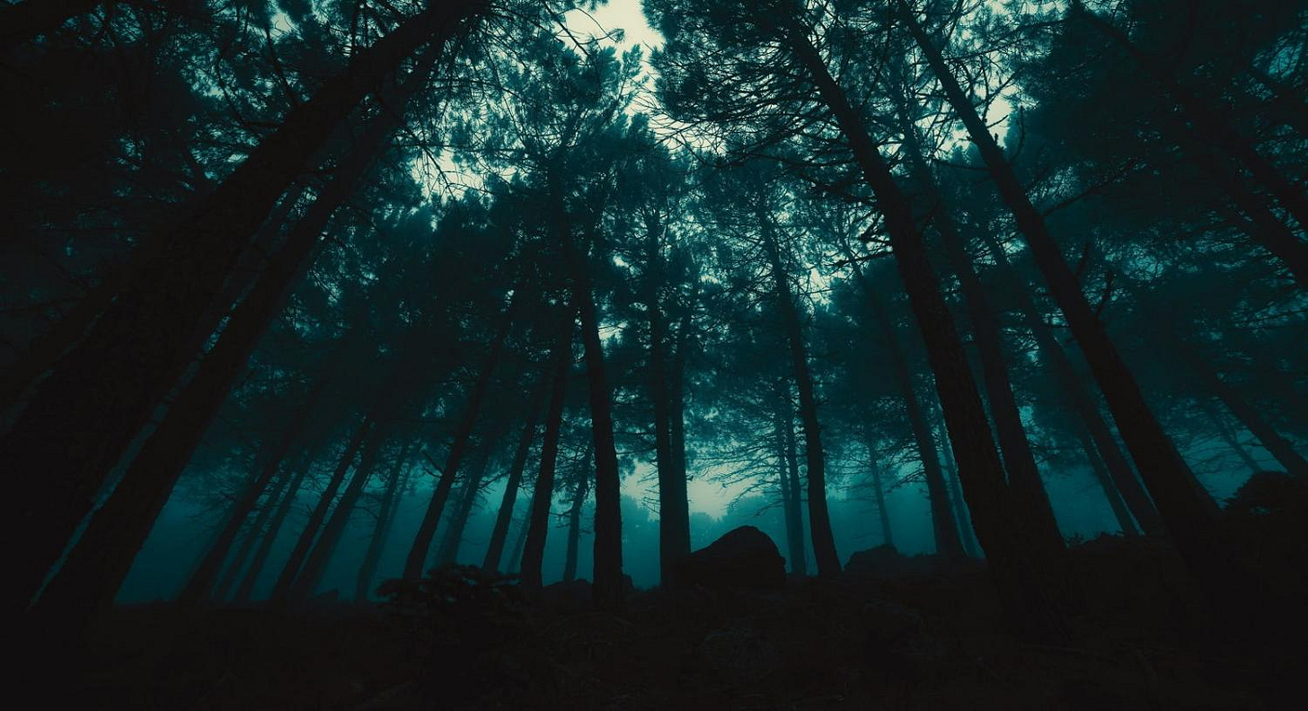 Are Beijing and Washington testing the dark forest hypothesis? | Lowy  Institute