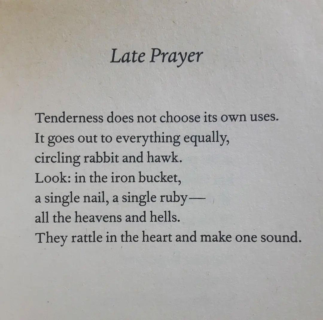 Late Prayer - Jane Hirshfield [POEM] : r/Poetry