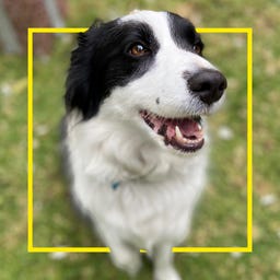 REBECCA'S WRITING SHACK | Author Rebecca Heath