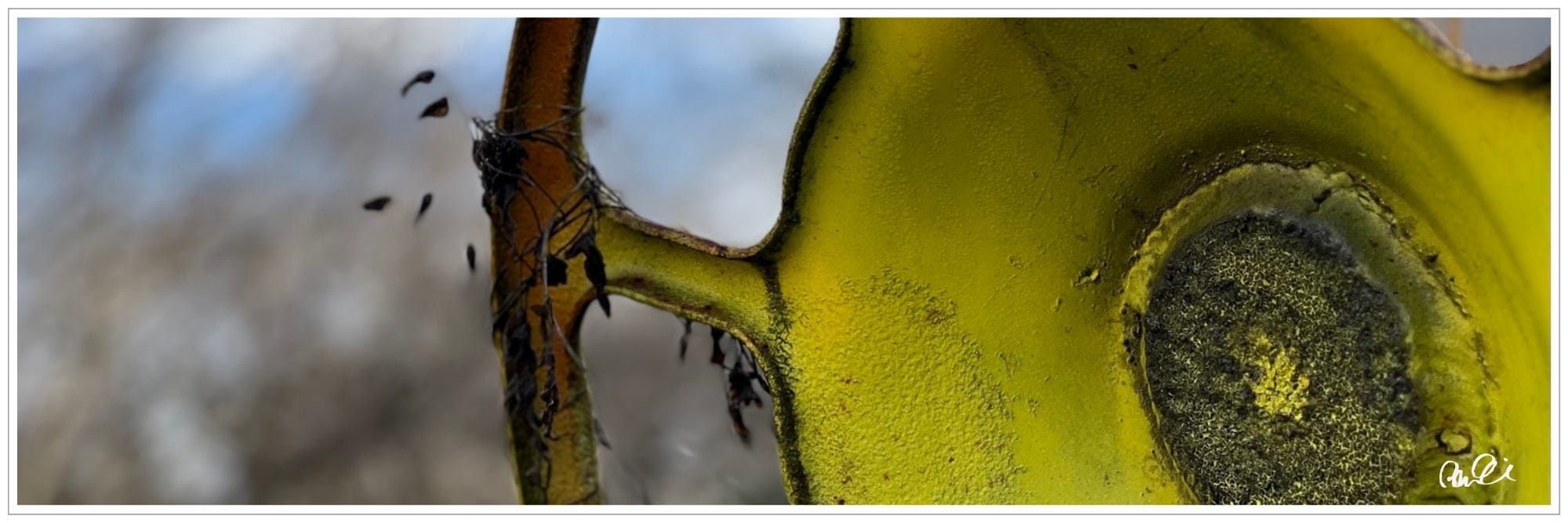 Abstract: macro image steel sculpture, vining
