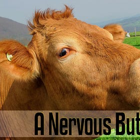 [New Voices] A Nervous Butt