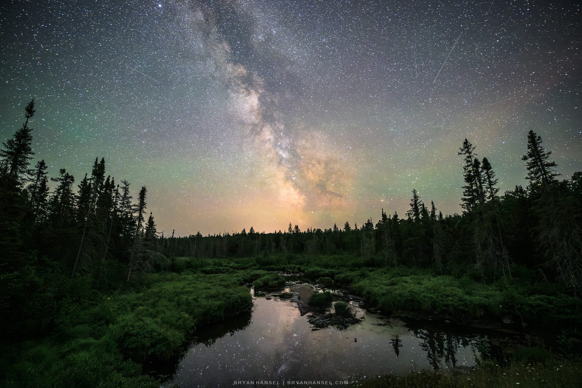 The Milky Way above a stream surrounded by grasses and everygreens.