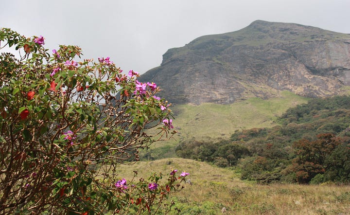 Images of mountains with cloudy skies, mostly grassland with some forest and bare rock.