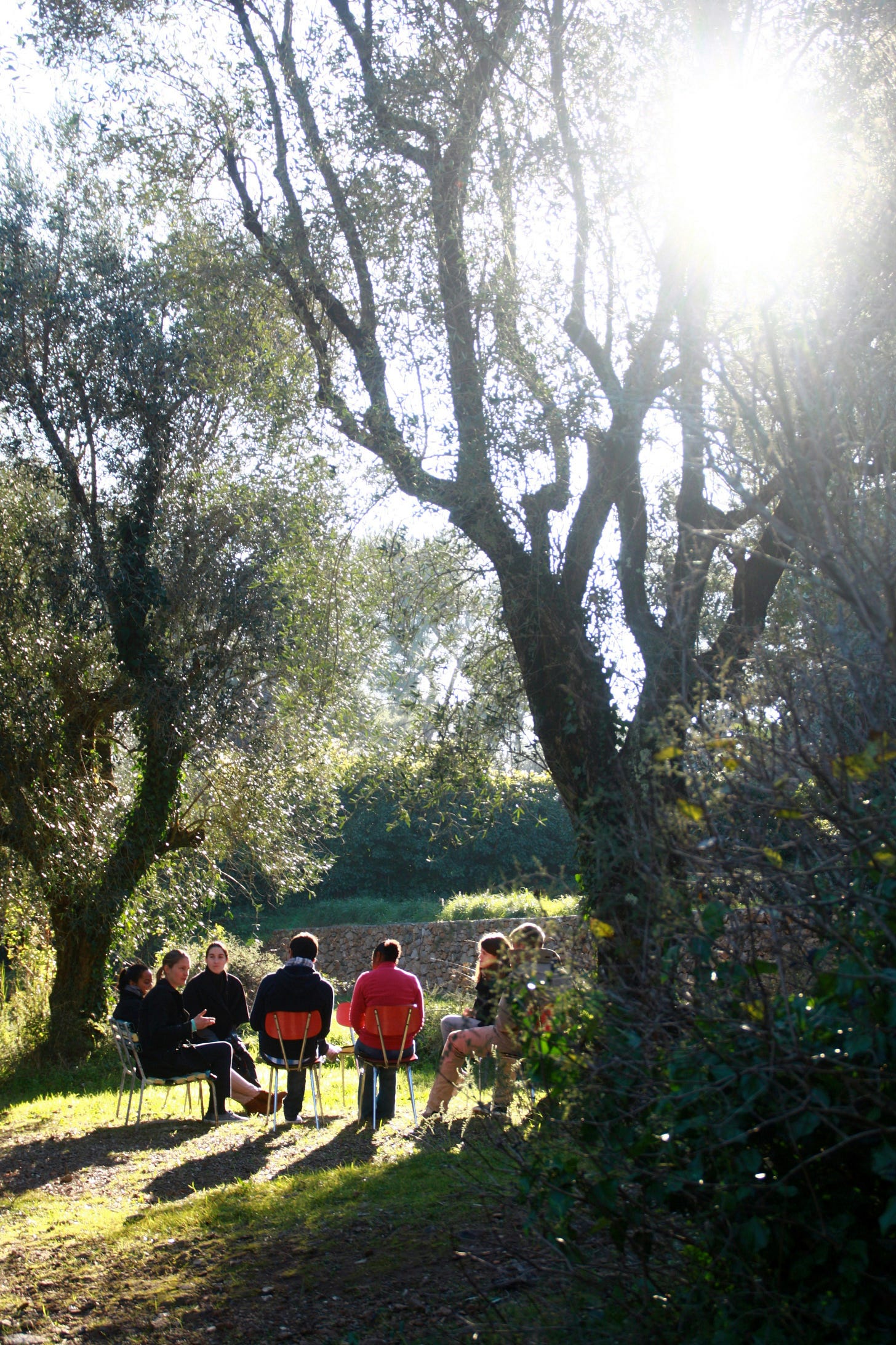 Group of people sit on chairs outside talking under trees. There is diffuse sunlight shining through the trees