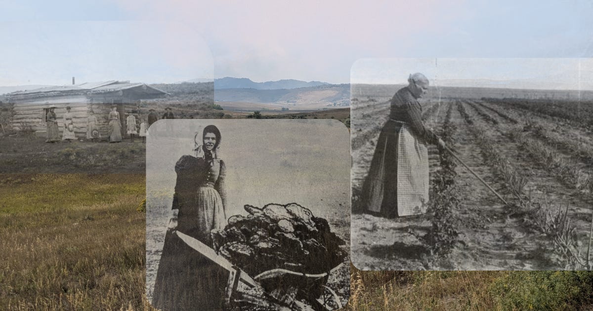 Homesteading Women Were Stronger Than You Think