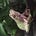 CityFrog