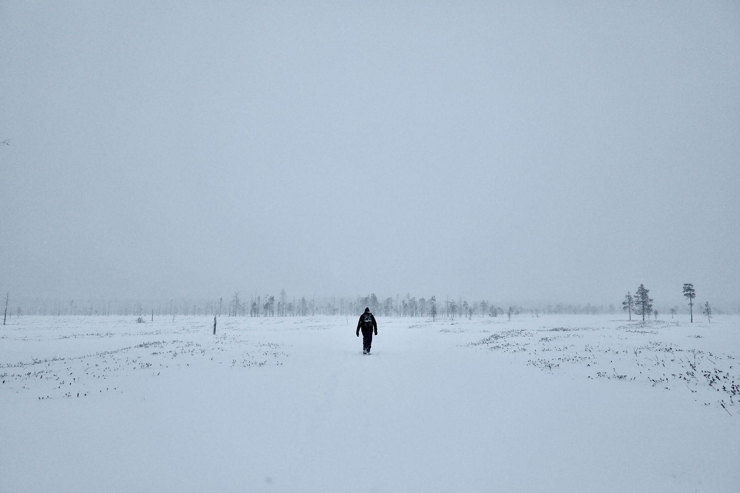 A solitary figure walks across a snow-covered field toward a distant line of trees under an overcast sky.