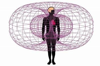 Image result for toroidal field i