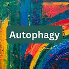 Autophagy