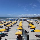 First Impressions of Florida