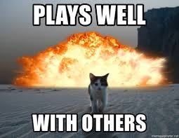 catplays