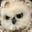 Vivienne Fosh's avatar