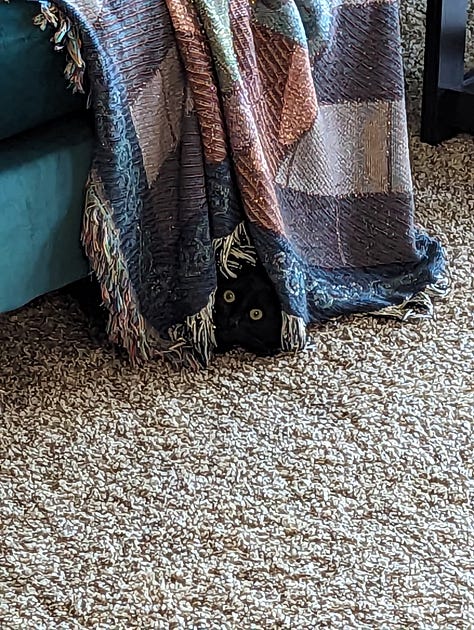 My black cat Chianti hiding behind a laundry hamper, messing up our toilet paper, and hiding such that we can only see her spooky eyes.