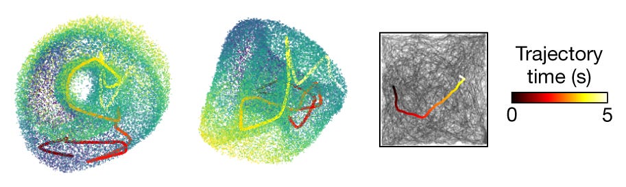 The population activity of grid cells resolved onto the surface of a torus, with individual cells’ firing positions marked. The population activity of grid cells resolved onto the surface of a torus, with individual cells’ firing positions marked.