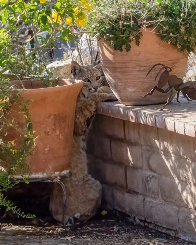 20240612-mby-67-Edit.jpg