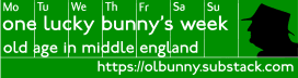 One Lucky Old Bunny 