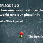 How Mushrooms shape the world and our place in it
