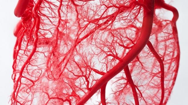 What Causes Coronary Microvascular Disease What Causes Coronary Microvascular Disease