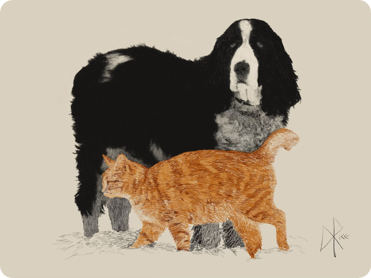 After a light snow, an old dog stands stoically as a tabby cat gives a drive-by tail pat while walking by. Sketch art by Don Rice. After a light snow, an old dog stands stoically as a tabby cat gives a drive-by tail pat while walking by. Sketch art by Don Rice.