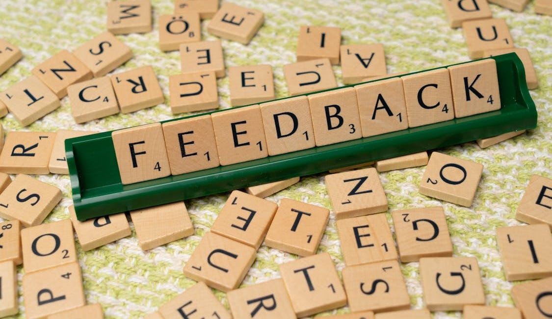 Feedback on DEI Plans at My University