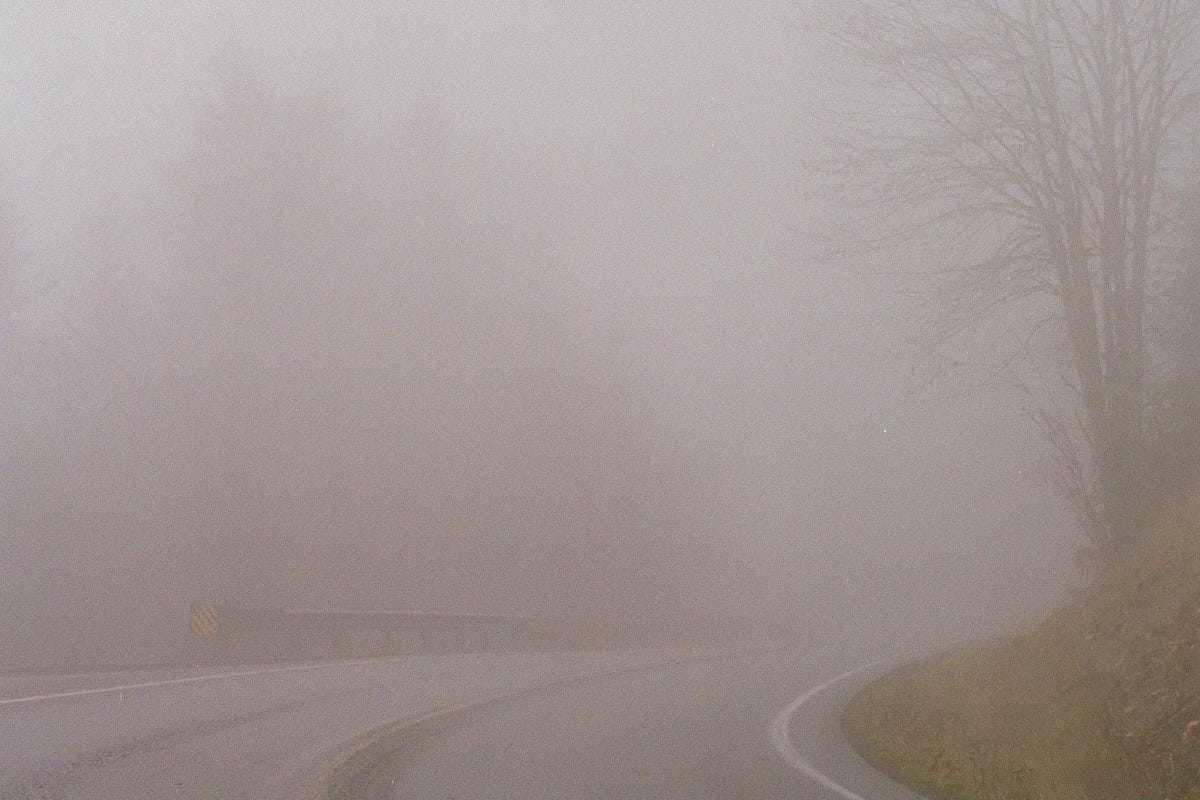Image of the curve of a road in the fog with ghostly trees seen