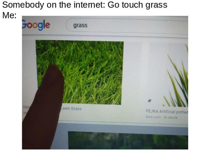Touch Grass | Know Your Meme