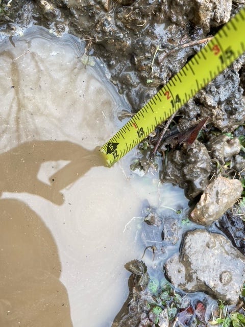 muddle hole filled with water and a tape measure marking 12" deep