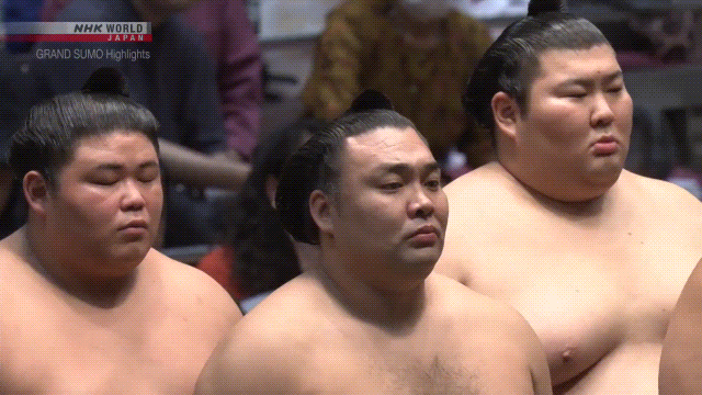 Archive - Sumo Stomp! Archive - Sumo Stomp!