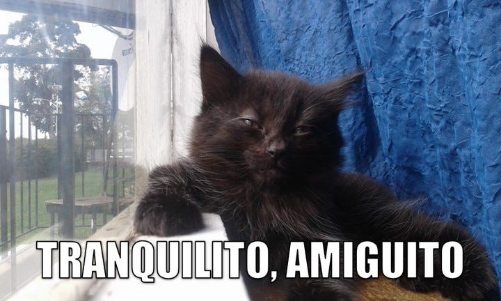 Miáucoles: Tranquilito, amiguito
