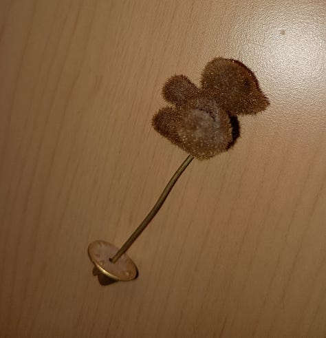 three bear lapel pins