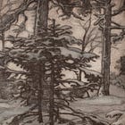 Order for the Attack