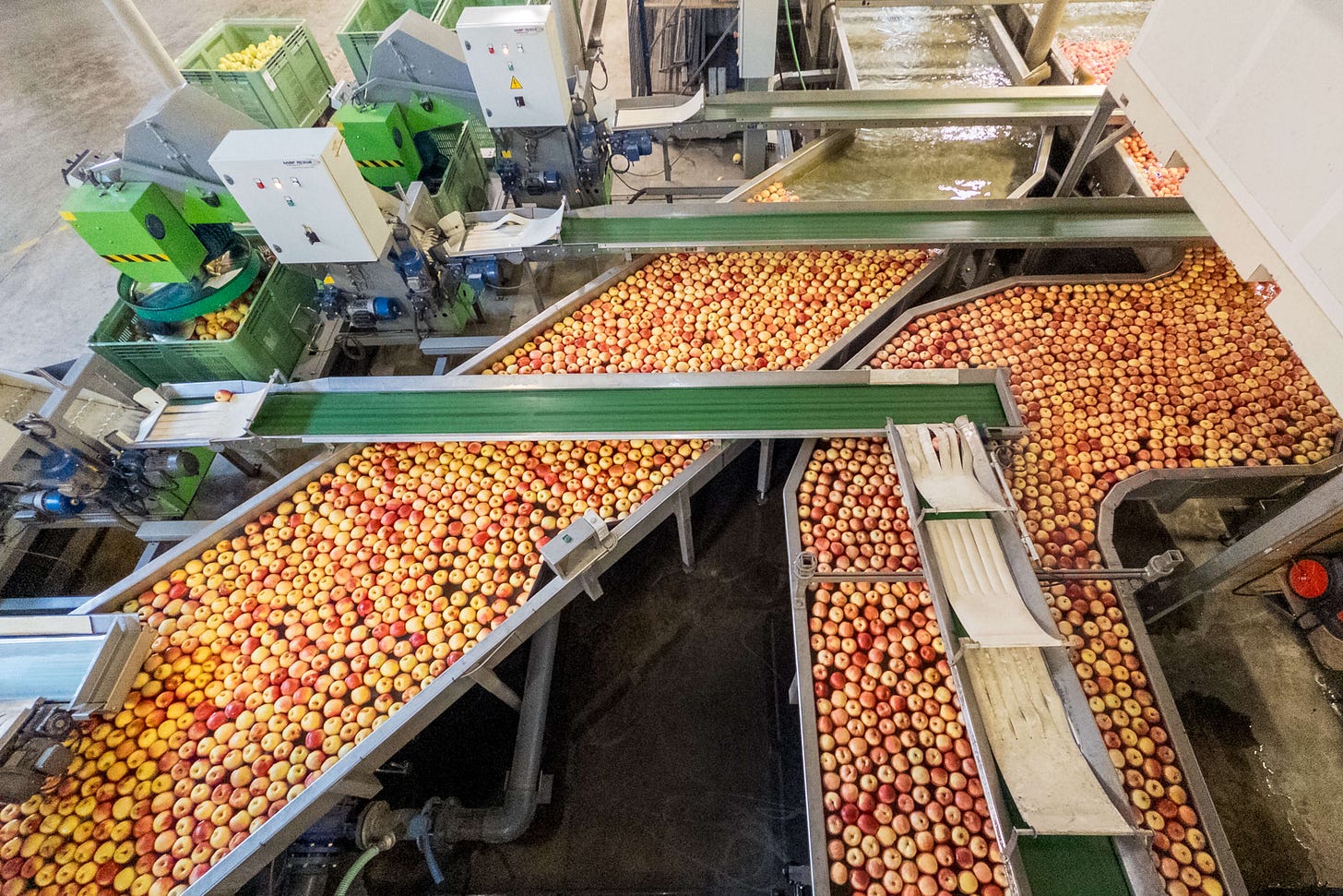 «Schwimmender» Transport der Äpfel im Inoverde-Aufbereitungsstandort in Charrat VS. «Schwimmender» Transport der Äpfel im Inoverde-Aufbereitungsstandort in Charrat VS.