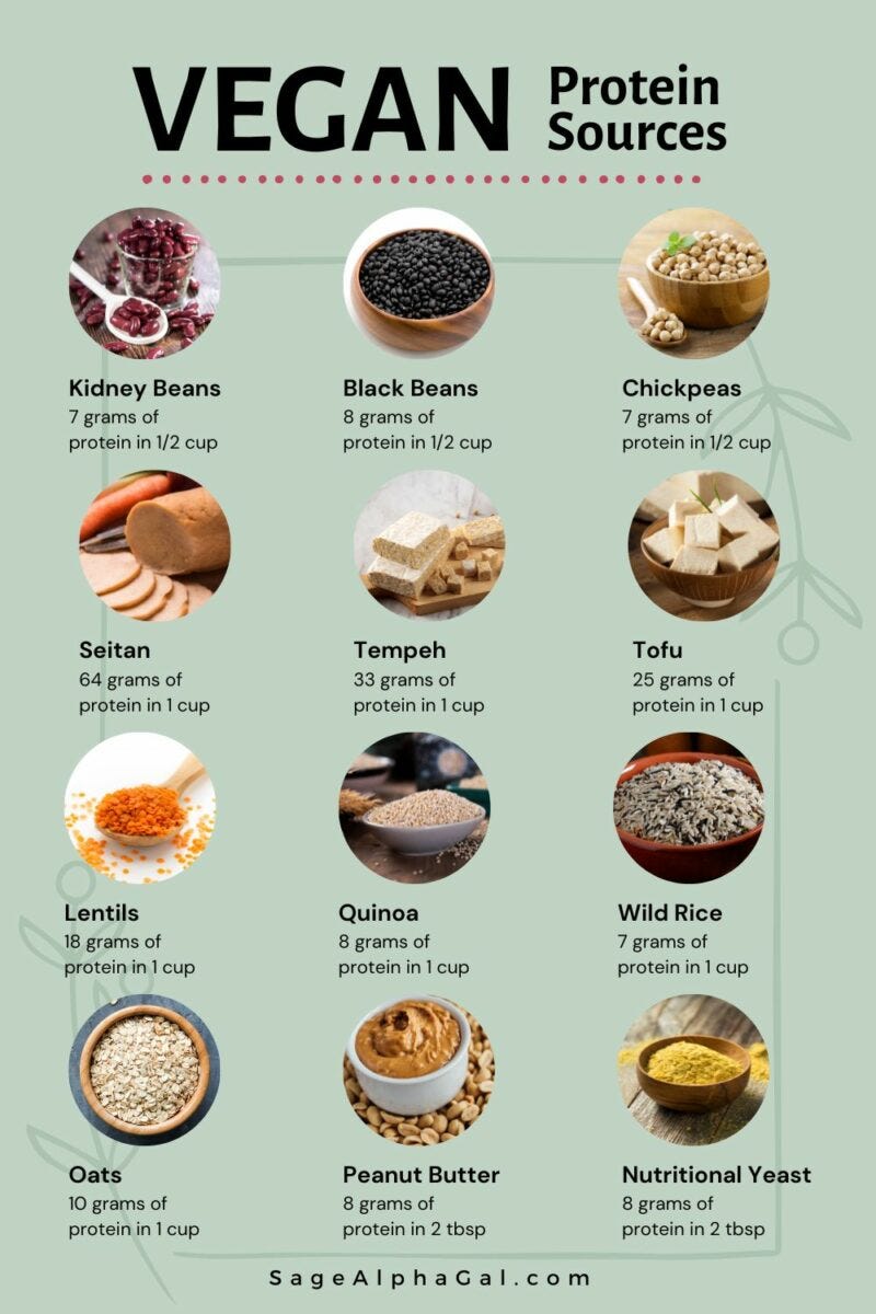 Adopting a Plant-Based Lifestyle: Best Vegan Protein Options