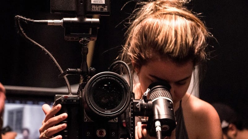 Curso online de Distribuição e Exibição Cinematográfica está com inscrições  abertas