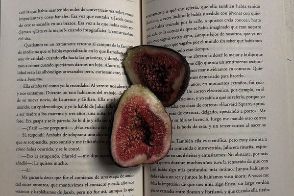 The Open Letters | Substack