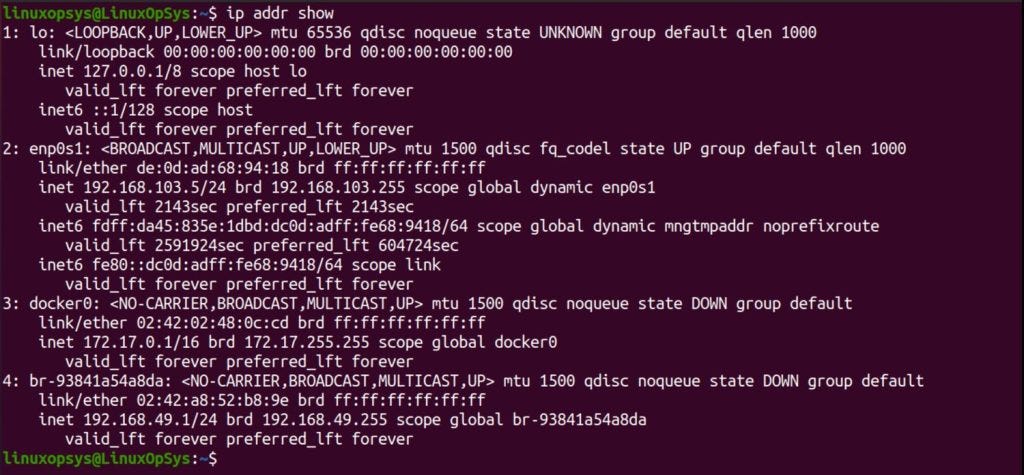 example display all interface ip using ip command