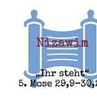 Nizawim