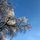 Kettle On: February 2026 ☕️