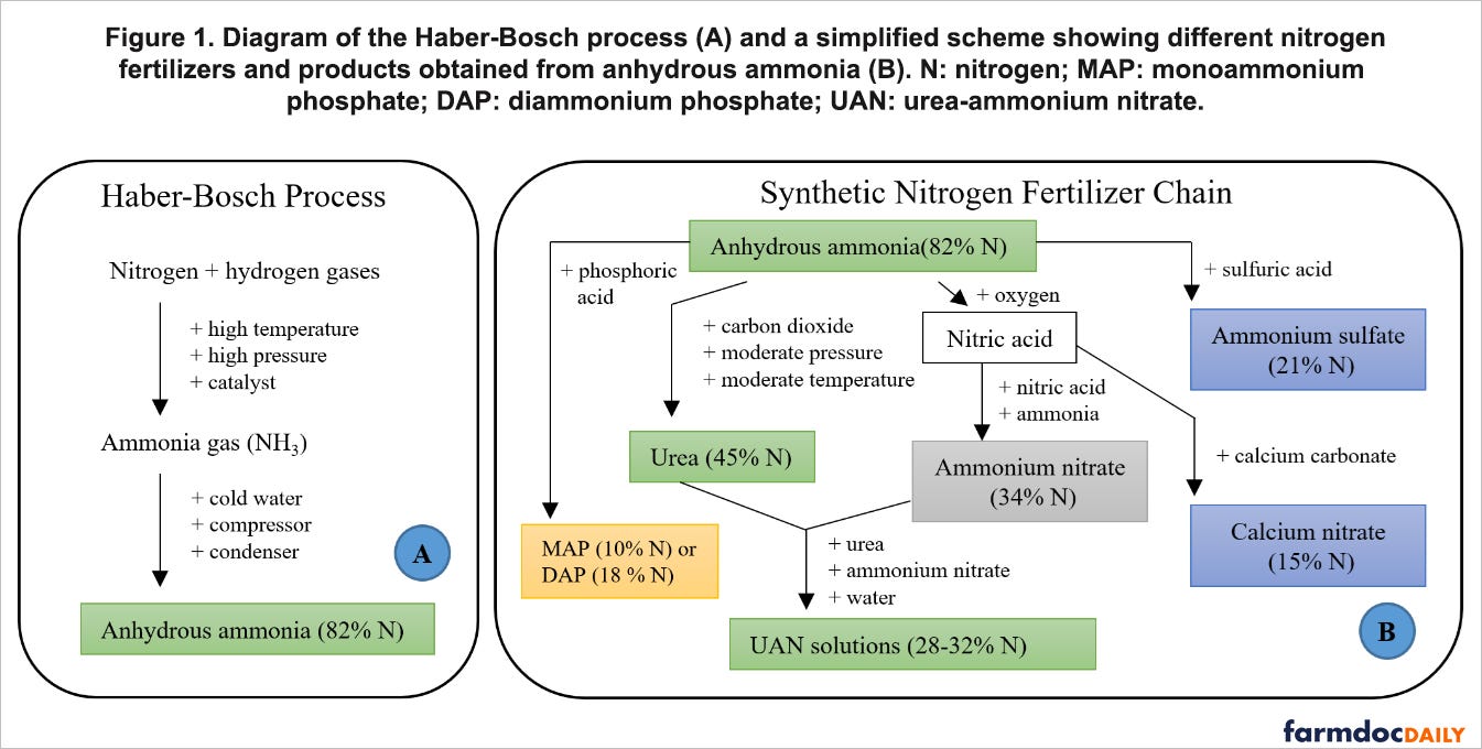 Synthetic Nitrogen Fertilizer in the U.S. - farmdoc daily Synthetic Nitrogen Fertilizer in the U.S. - farmdoc daily