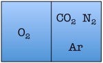 miracles_thermo8