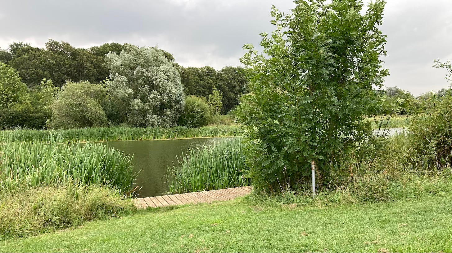 image of grass trees and a body of water running horizontally through the landscape with a grey cloudy sky.