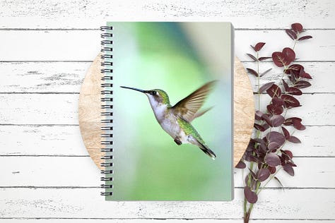 A gallery of three images shows custom-print products from the Sydney Michalski print gallery on Pixels.com, featuring the Split Second hovering hummingbird image in wall art, on a coffee mug, and on a spiral notebook.
