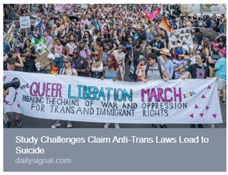 The image depicts a Queer Liberation March, advocating against war, oppression, and anti-trans laws, highlighting the serious issue of trans rights and the associated risk of suicide. AI-generated content may be incorrect.
