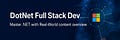 DotNet Full Stack Dev