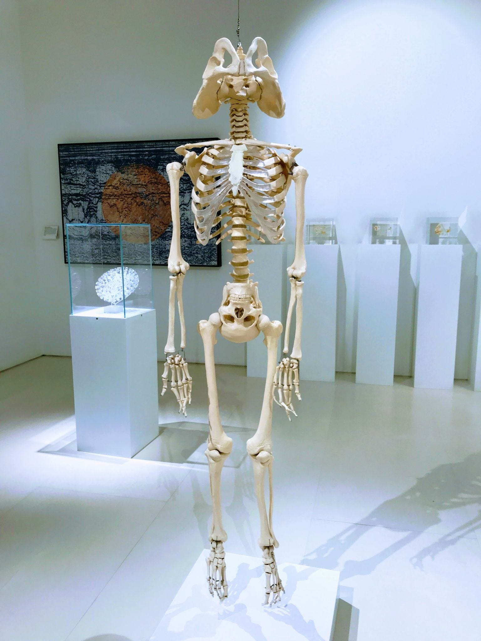 Todo es una mierda - by Christian Díaz - #PorLosMuseos, image size:1536x2048